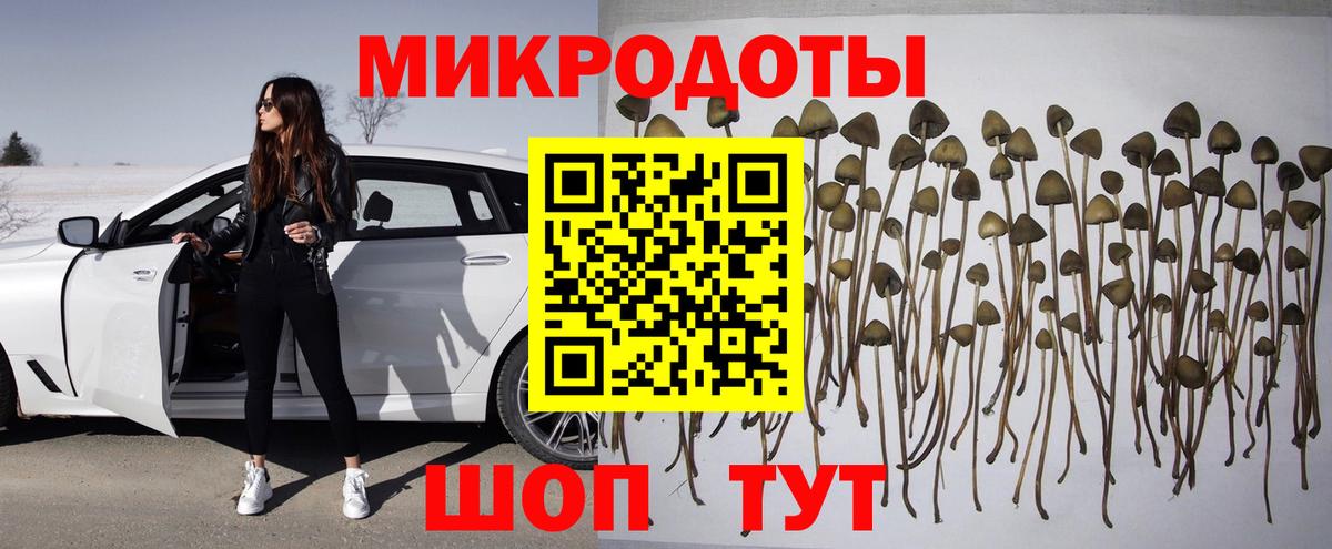 Вологда  Псилоцибиновые грибы Magic Shrooms  Галлюциногенные грибы прущие грибы  сколько стоит  Вход с VPN 